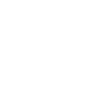 icono blanco de datos
